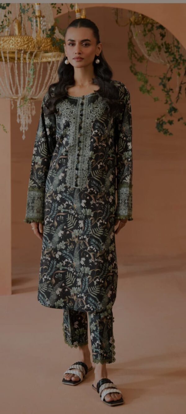 Lawn printed 2pc with handwork - Image 3