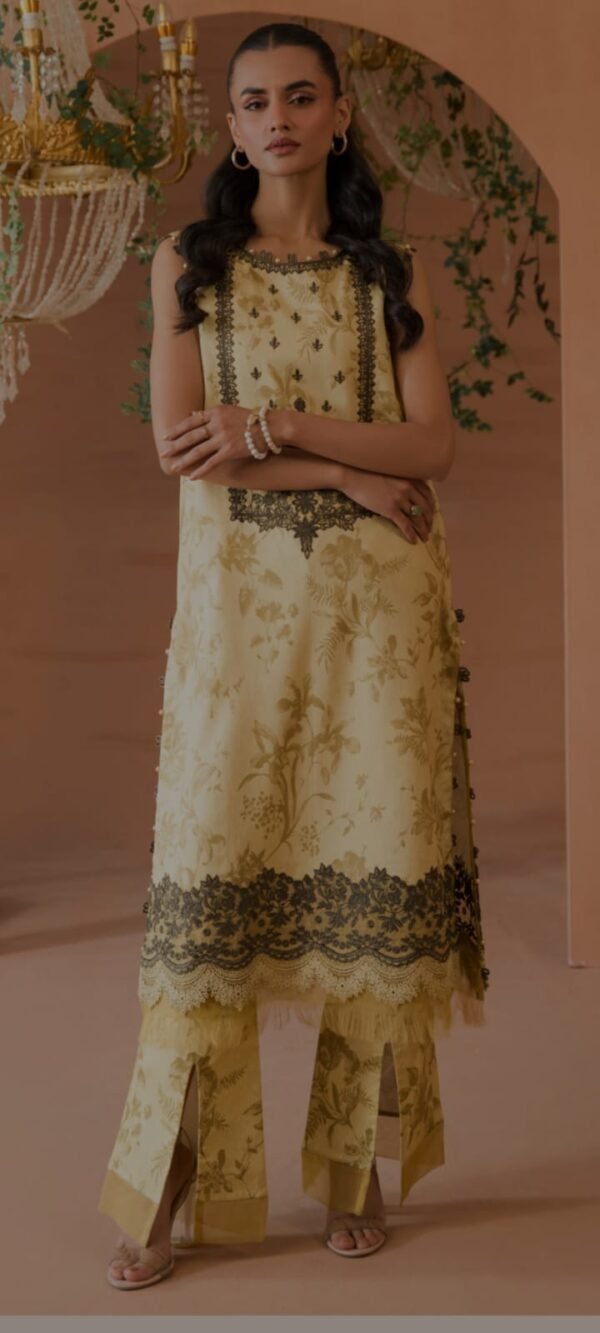 Lawn printed 2pc with handwork - Image 4