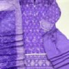 Embroidered Stitched Collection - Image 11